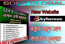 sdfx global business plan pdf