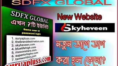 sdfx global business plan pdf