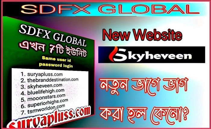 sdfx global business plan pdf